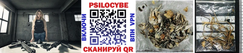Галлюциногенные грибы MAGIC MUSHROOMS  купить закладку  гидра ТОР  Красноуфимск 